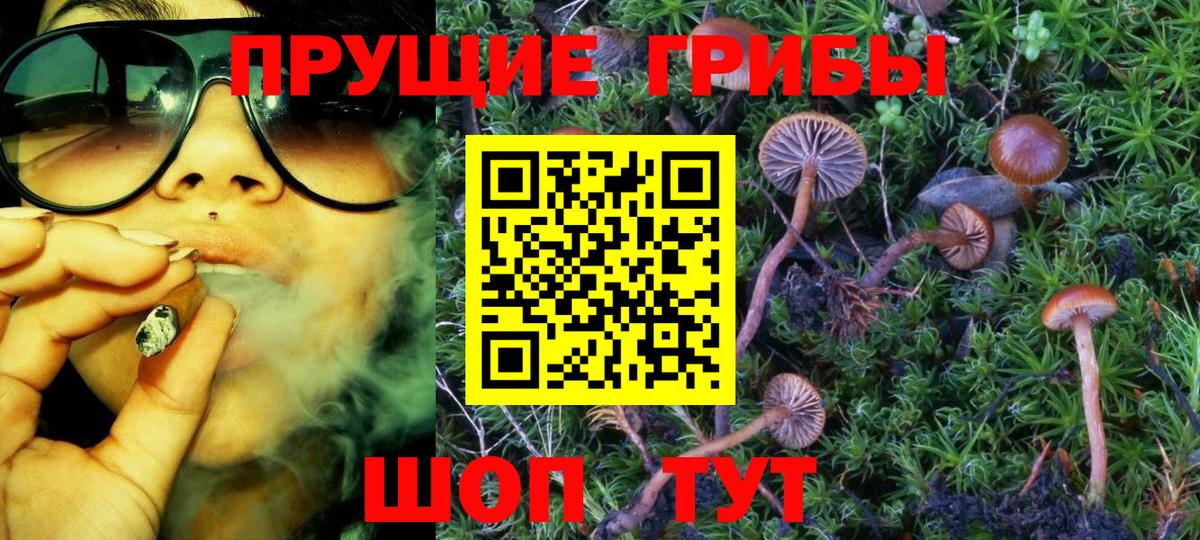 Псилоцибиновые грибы GOLDEN TEACHER Шелехов